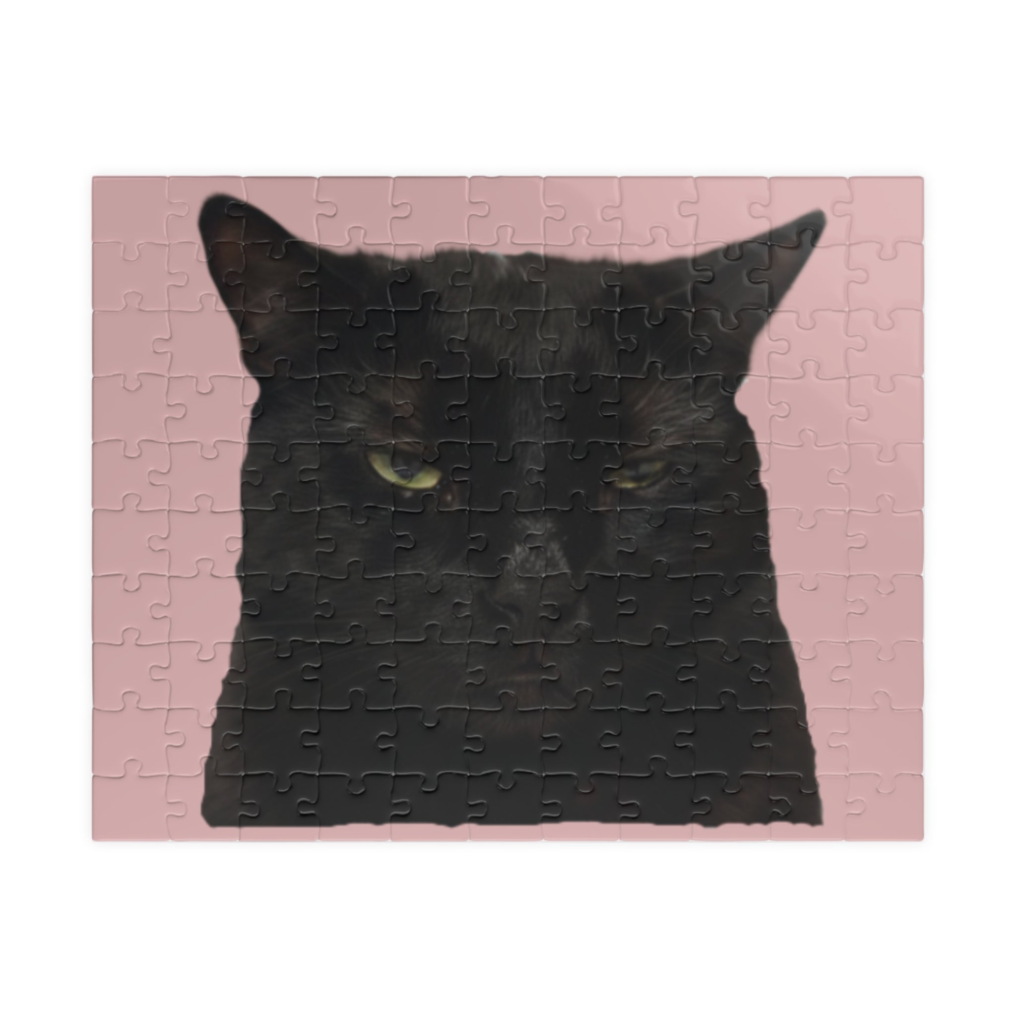 FIND WOLFIE ATTITUDE